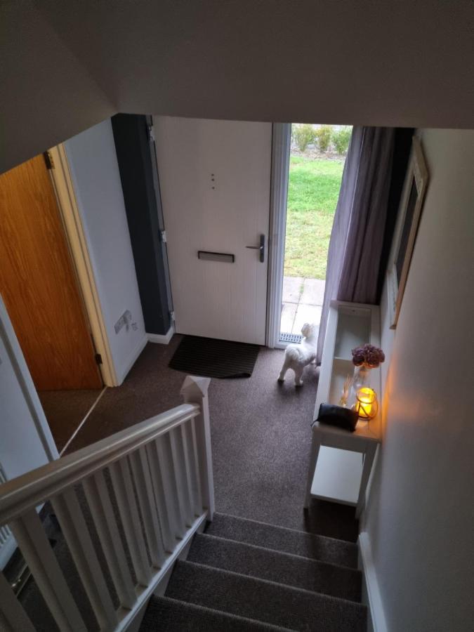 Modern 3 Bedroom Semi Detached Home リマバディ エクステリア 写真